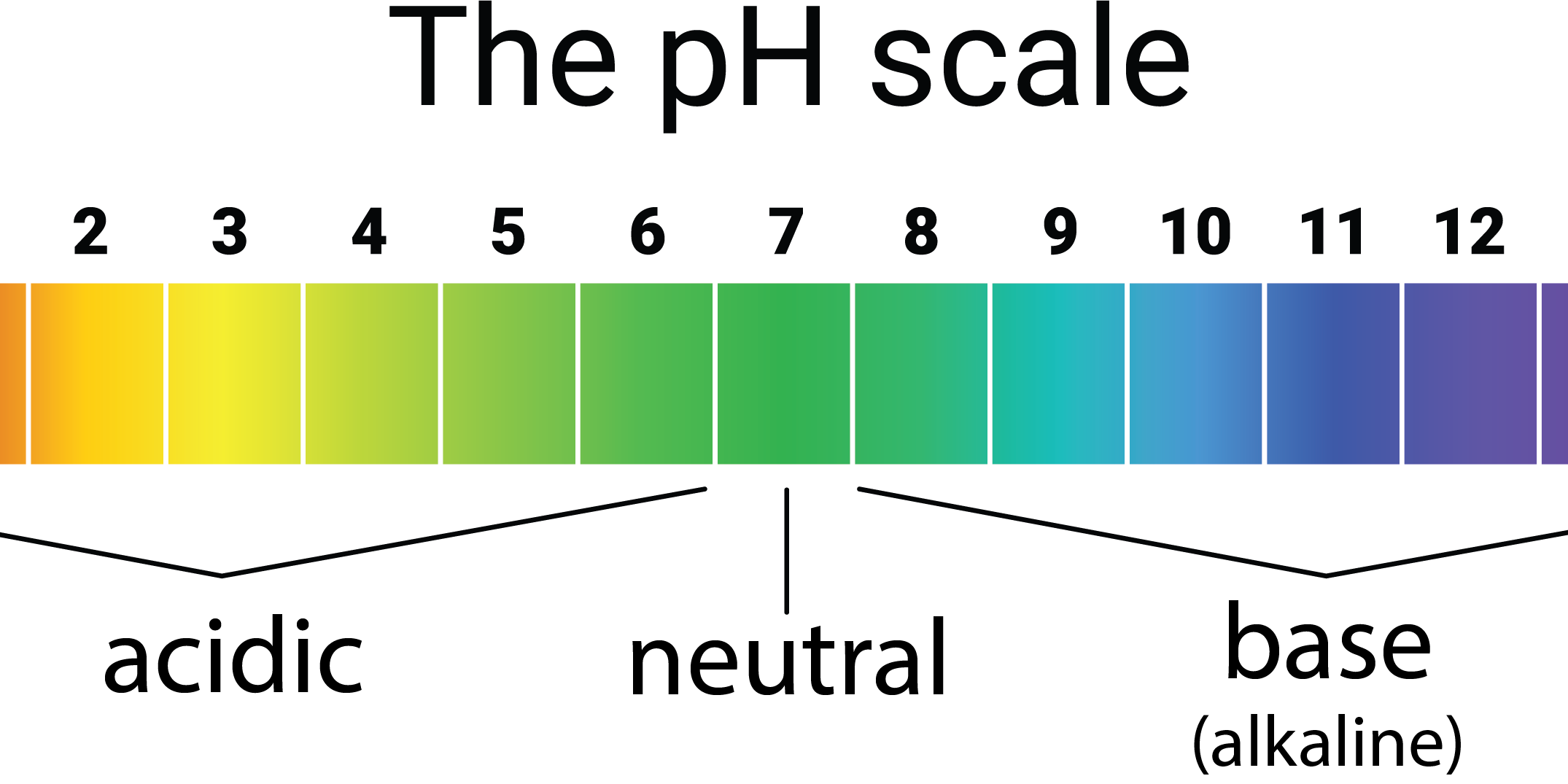 pH scale. 