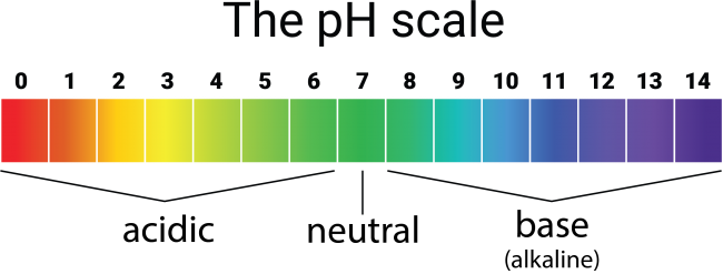 pH scale Neutral pH