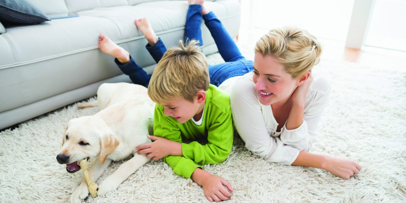 happy family hydrogen peroxide to clean carpet