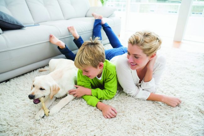 happy family hydrogen peroxide to clean carpet