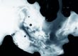 emerging viral pathogen